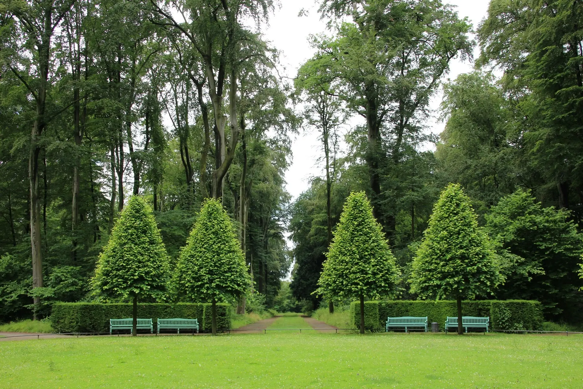 Servicio de Jardinería Mantenimiento de jardines